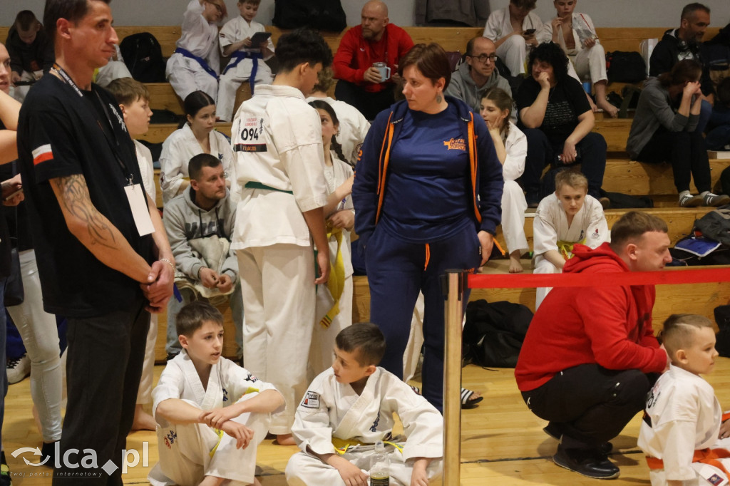 X SILESIA CUP Legnickie Pole