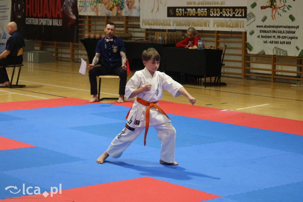 X SILESIA CUP Legnickie Pole