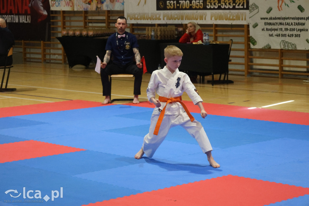 X SILESIA CUP Legnickie Pole