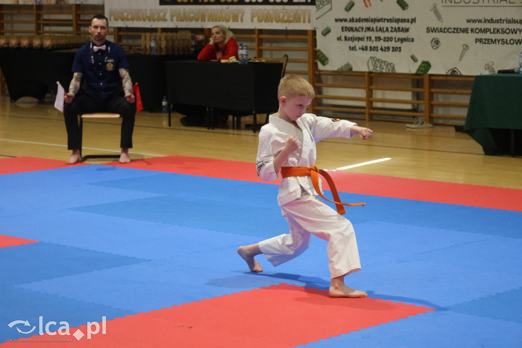 X SILESIA CUP Legnickie Pole