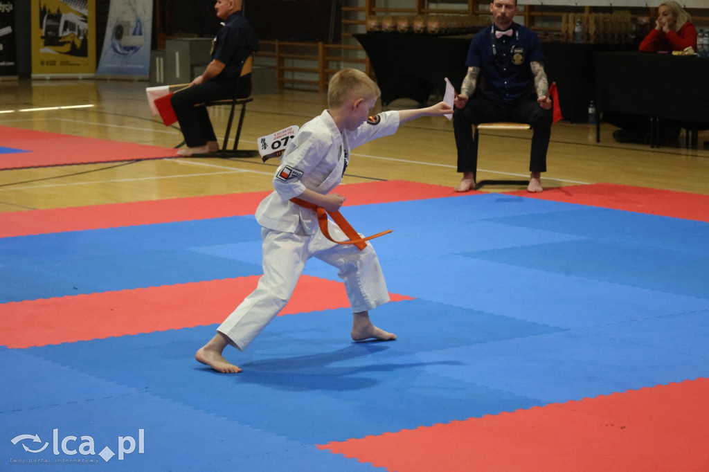 X SILESIA CUP Legnickie Pole