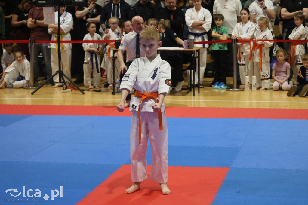 X SILESIA CUP Legnickie Pole