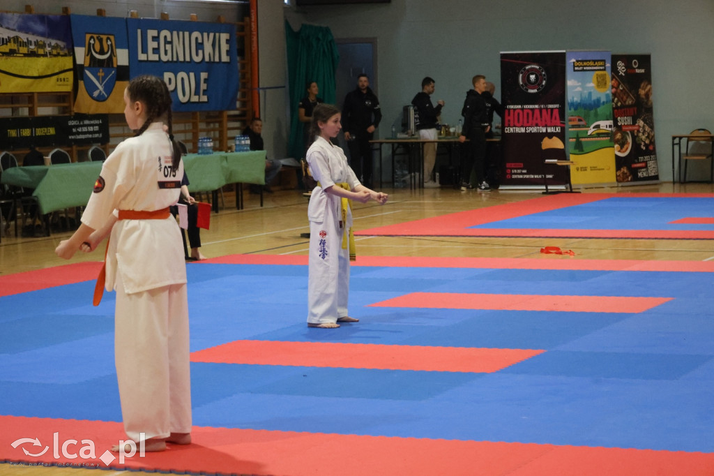 X SILESIA CUP Legnickie Pole