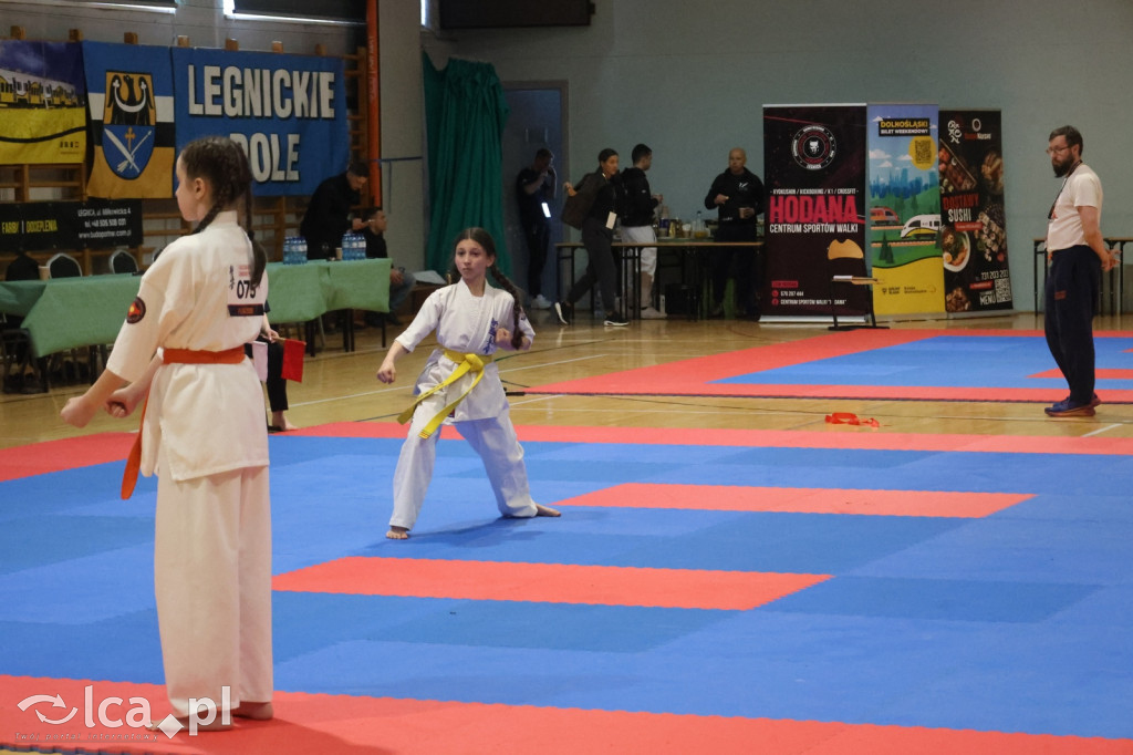 X SILESIA CUP Legnickie Pole