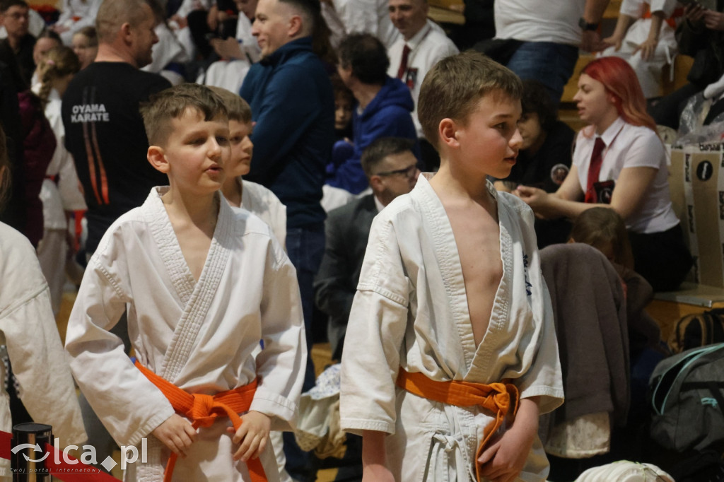 X SILESIA CUP Legnickie Pole