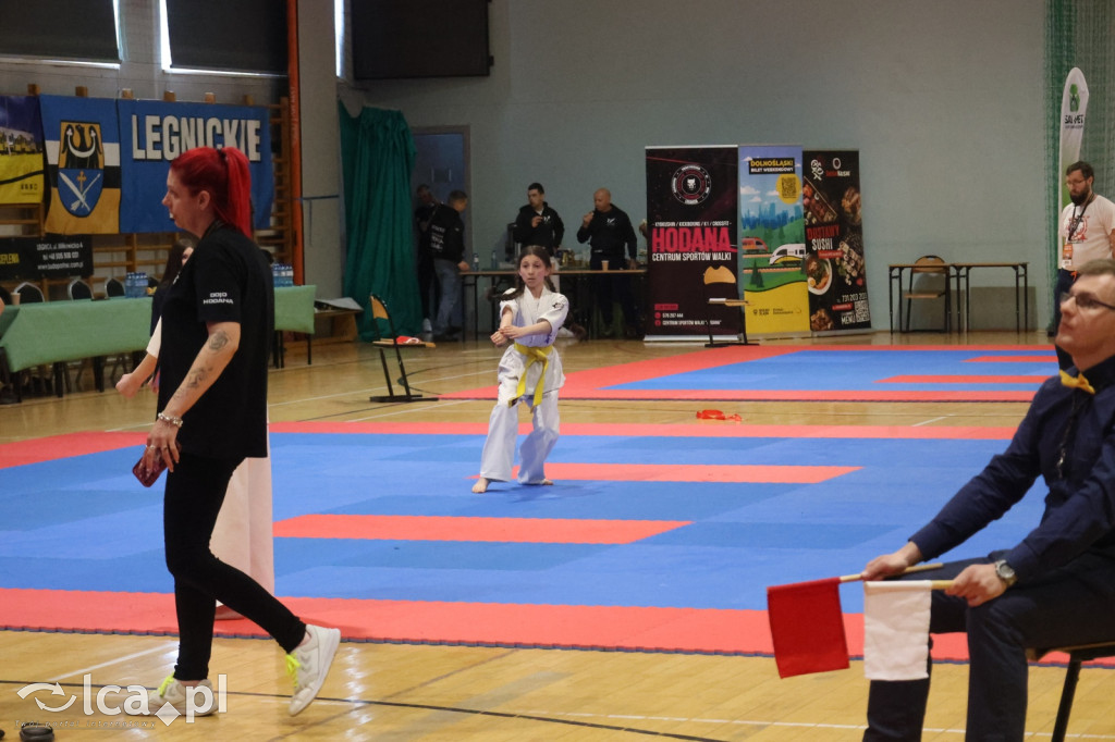 X SILESIA CUP Legnickie Pole