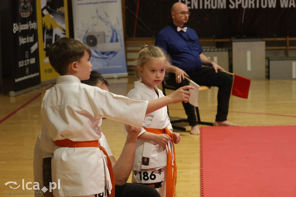 X SILESIA CUP Legnickie Pole