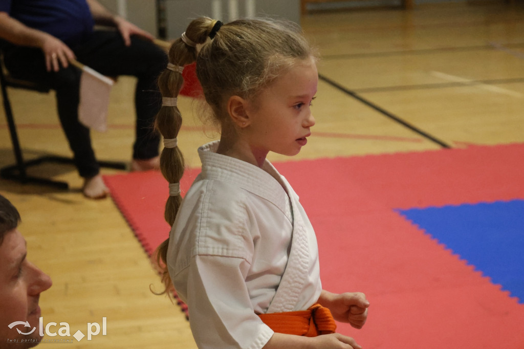 X SILESIA CUP Legnickie Pole