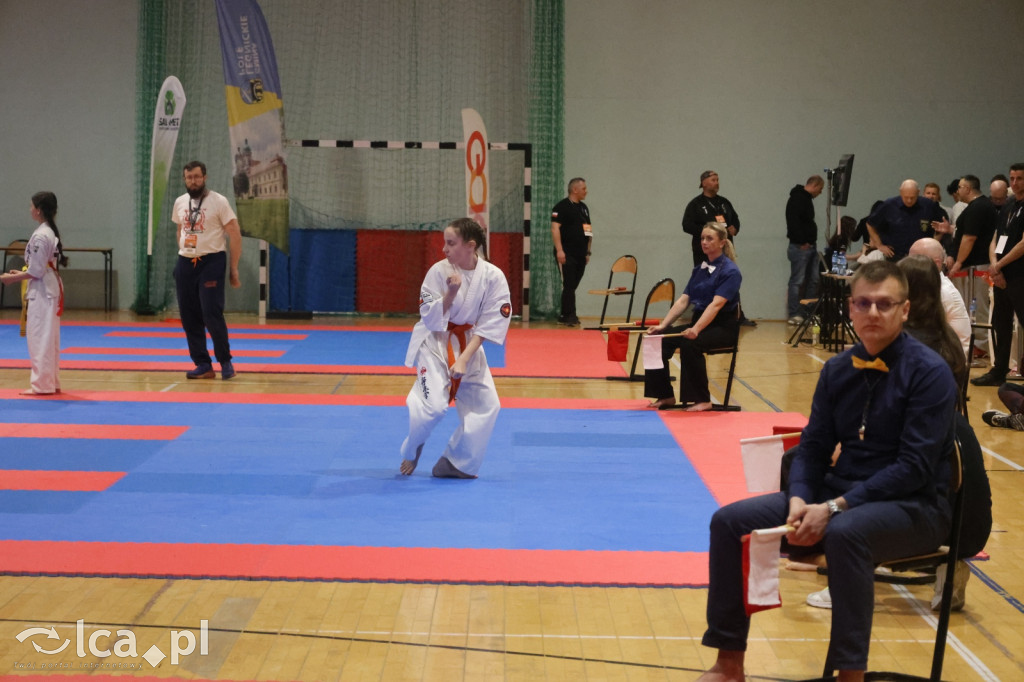 X SILESIA CUP Legnickie Pole