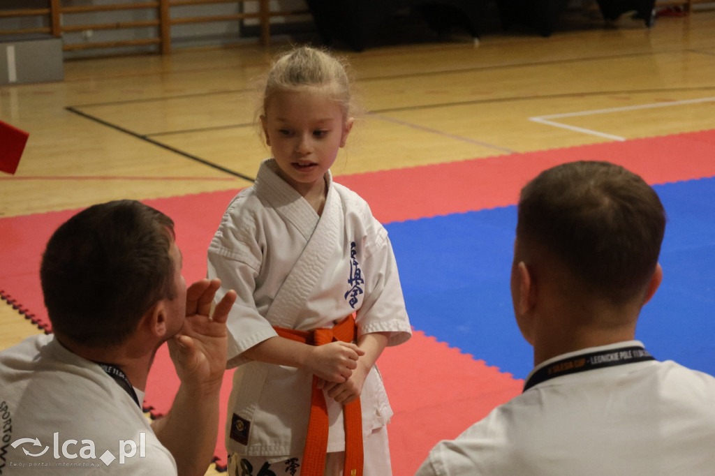 X SILESIA CUP Legnickie Pole