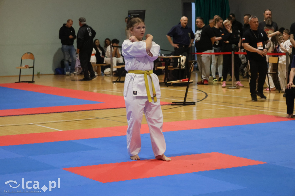 X SILESIA CUP Legnickie Pole