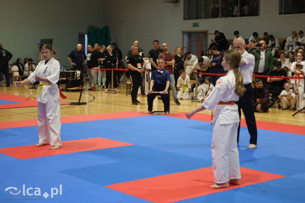 X SILESIA CUP Legnickie Pole