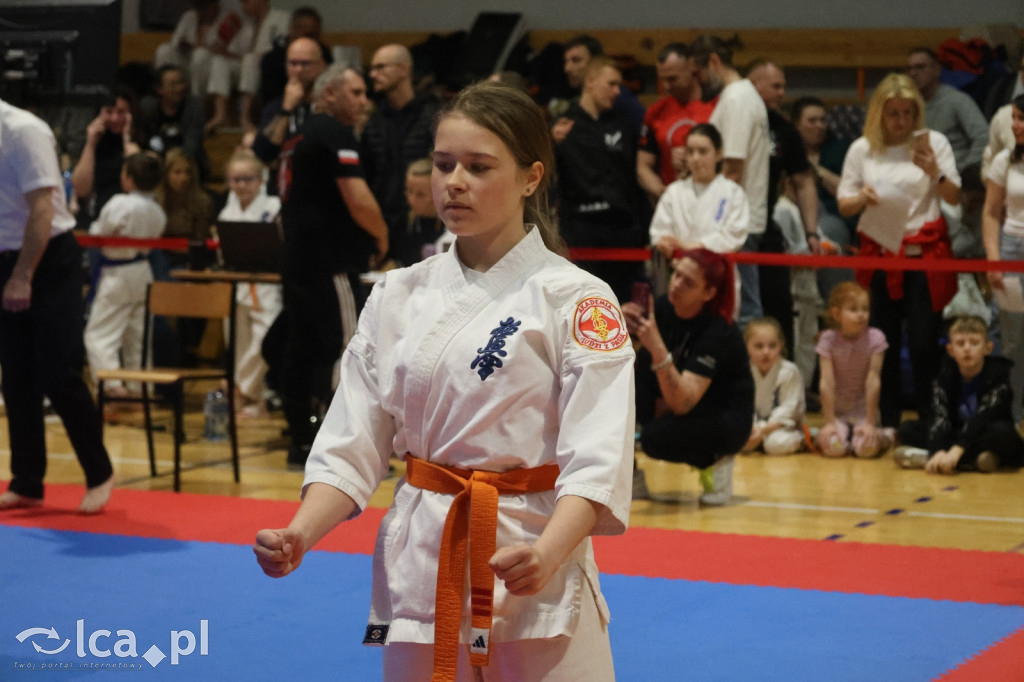 X SILESIA CUP Legnickie Pole