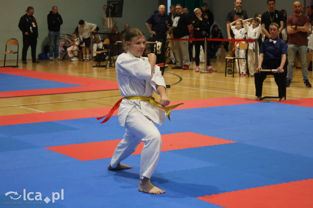 X SILESIA CUP Legnickie Pole