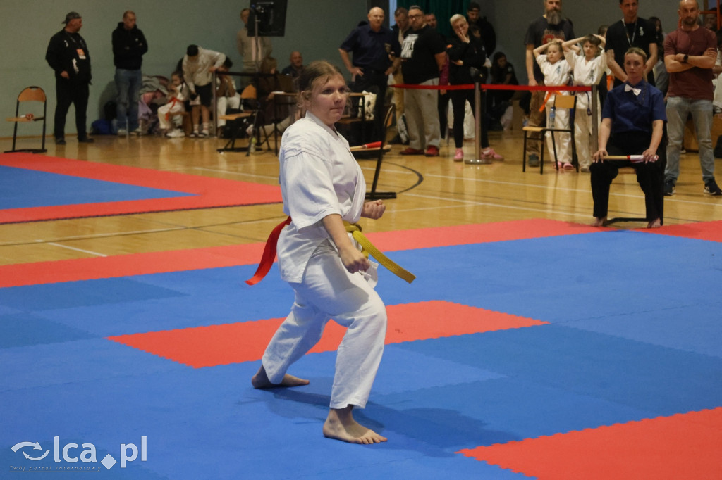 X SILESIA CUP Legnickie Pole