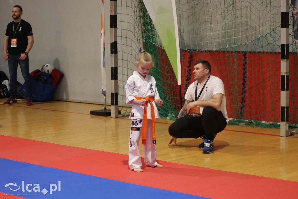 X SILESIA CUP Legnickie Pole