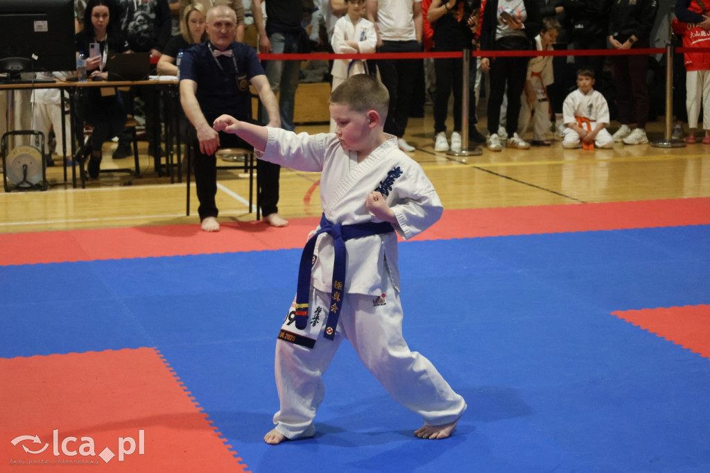 X SILESIA CUP Legnickie Pole