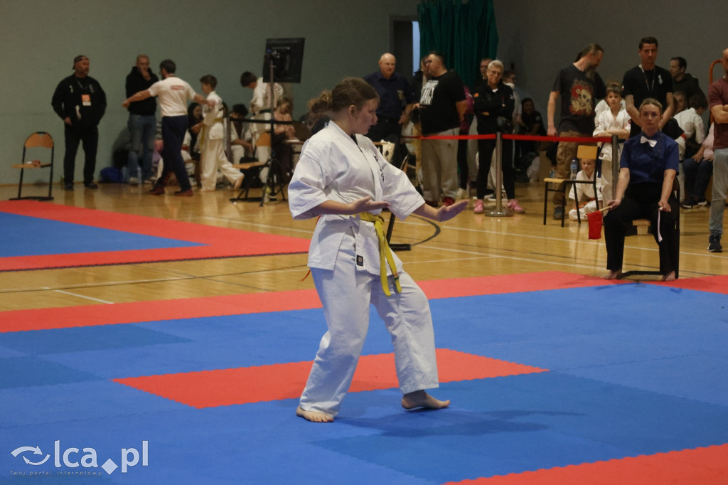 X SILESIA CUP Legnickie Pole