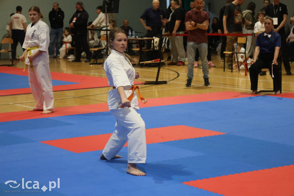 X SILESIA CUP Legnickie Pole