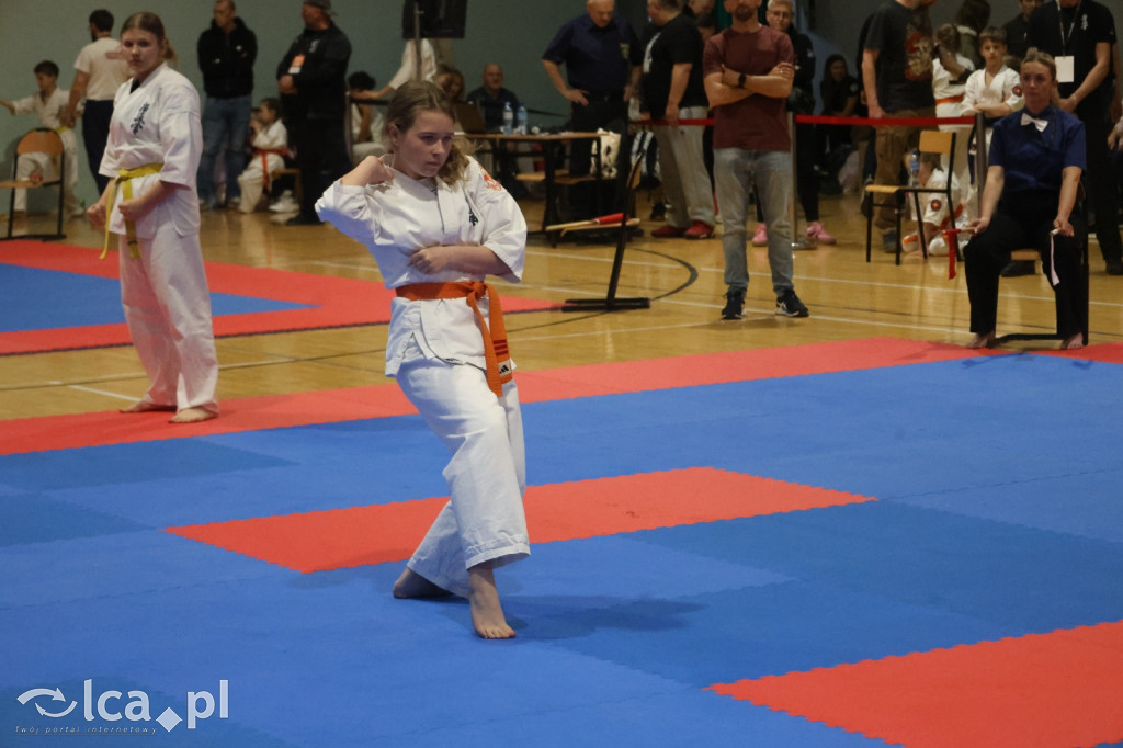 X SILESIA CUP Legnickie Pole