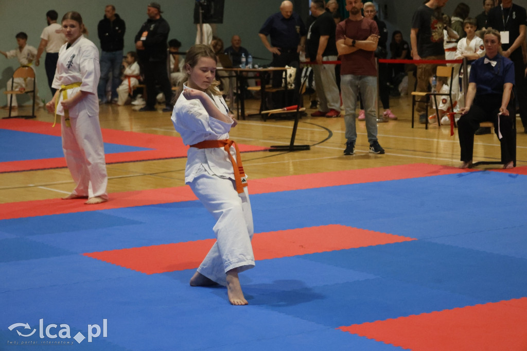 X SILESIA CUP Legnickie Pole