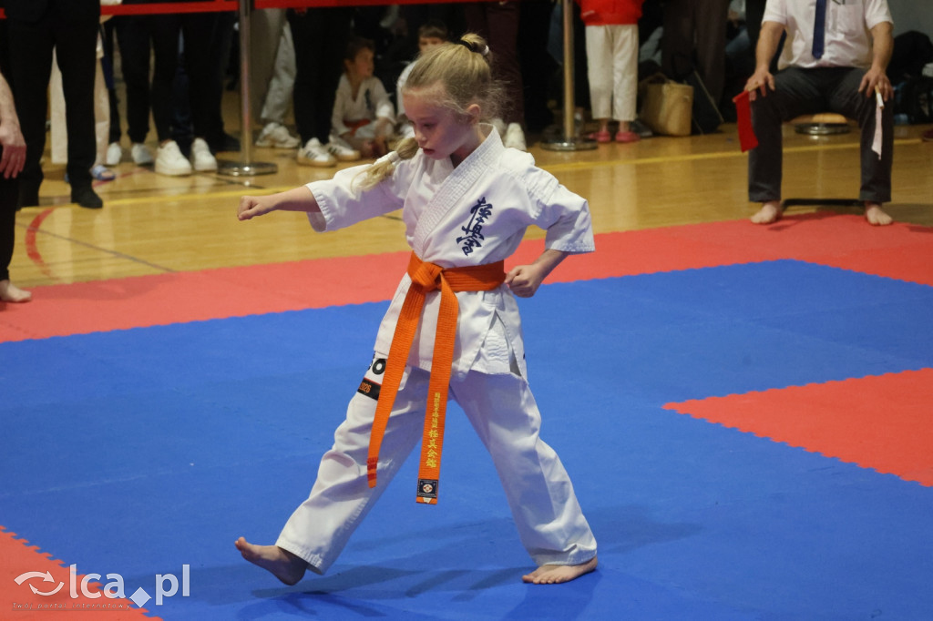 X SILESIA CUP Legnickie Pole