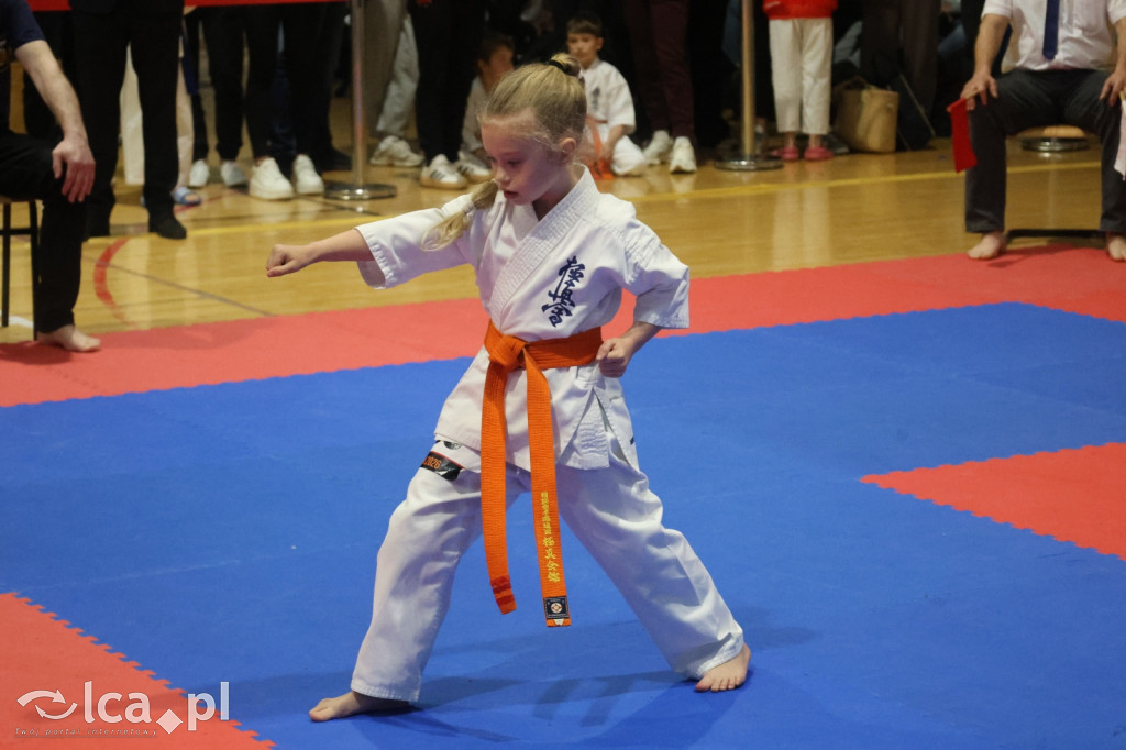 X SILESIA CUP Legnickie Pole