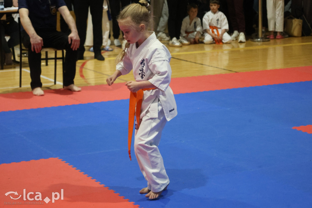 X SILESIA CUP Legnickie Pole