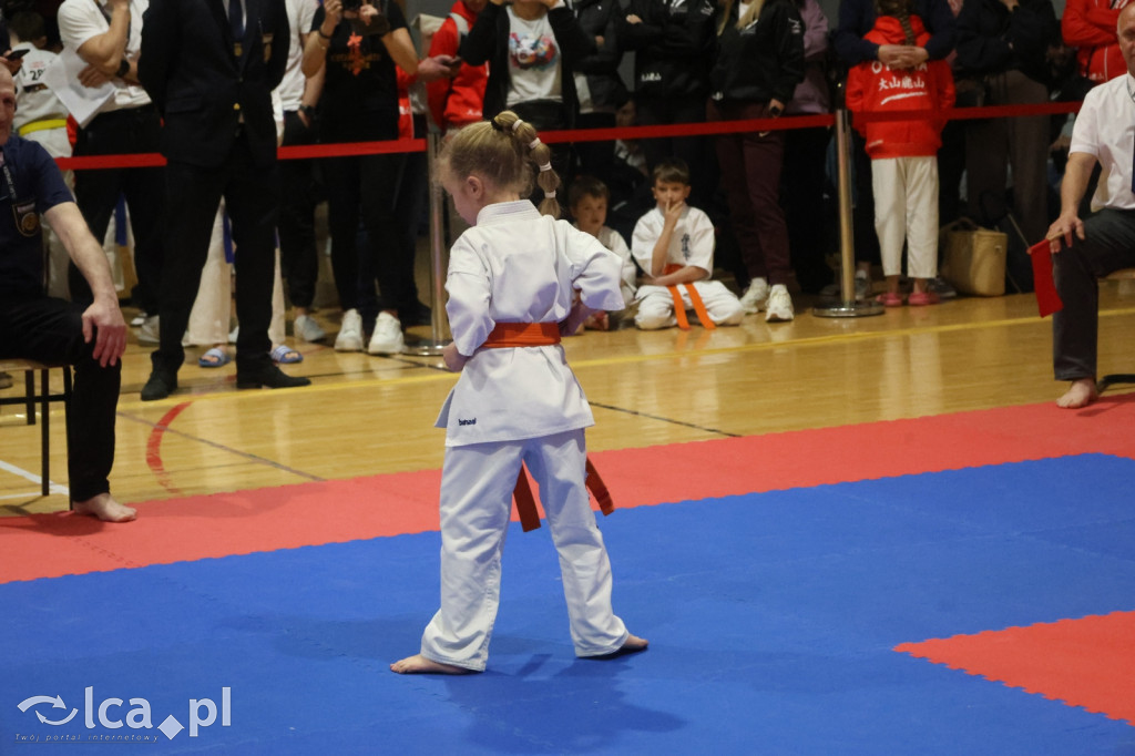 X SILESIA CUP Legnickie Pole