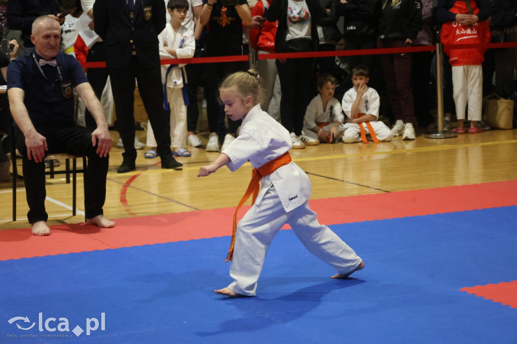 X SILESIA CUP Legnickie Pole