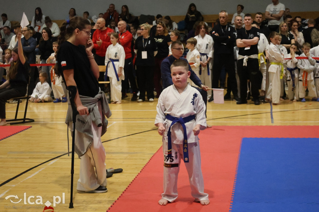 X SILESIA CUP Legnickie Pole