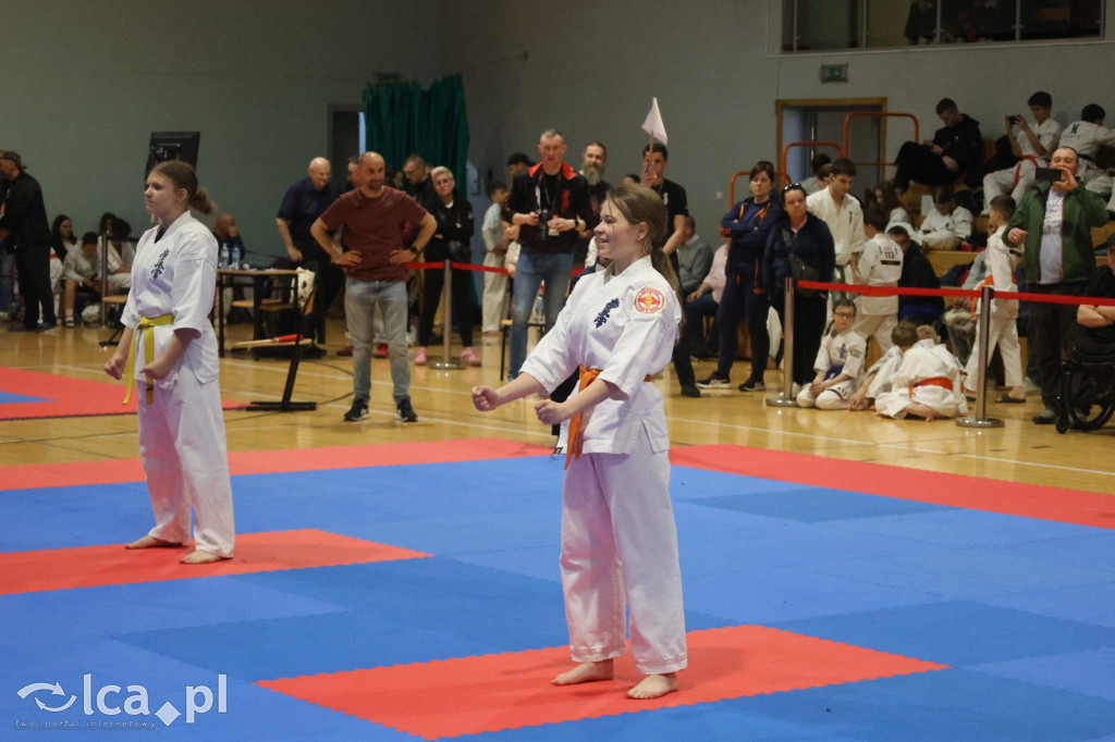 X SILESIA CUP Legnickie Pole