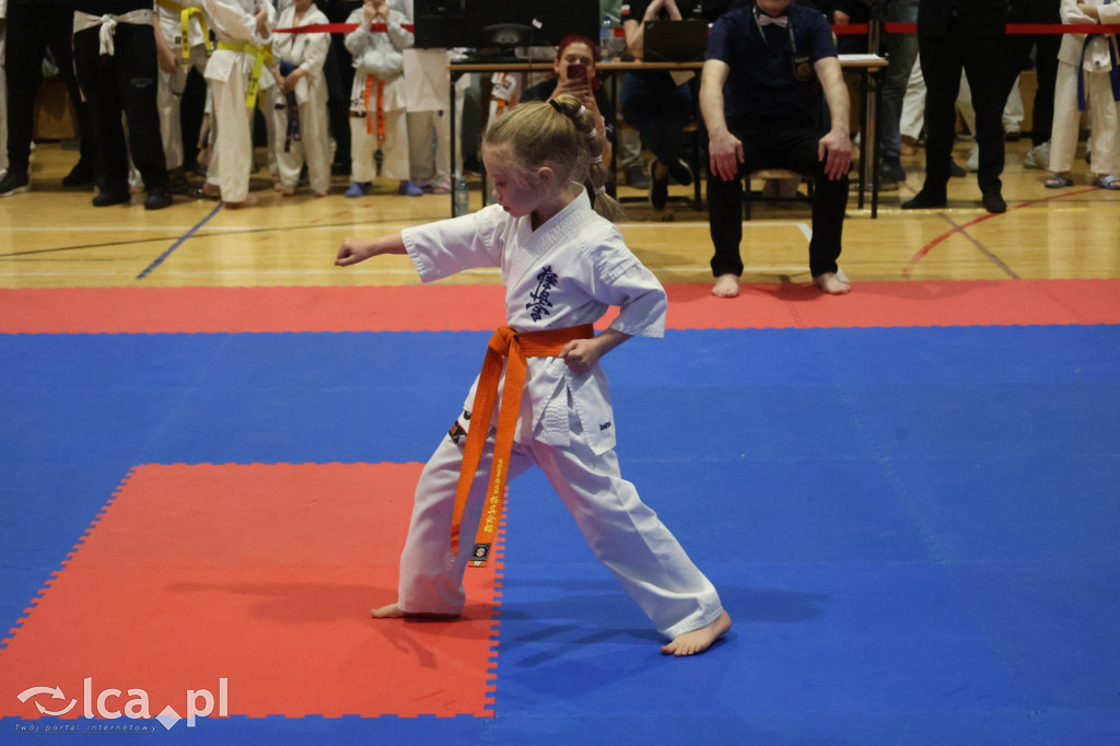 X SILESIA CUP Legnickie Pole