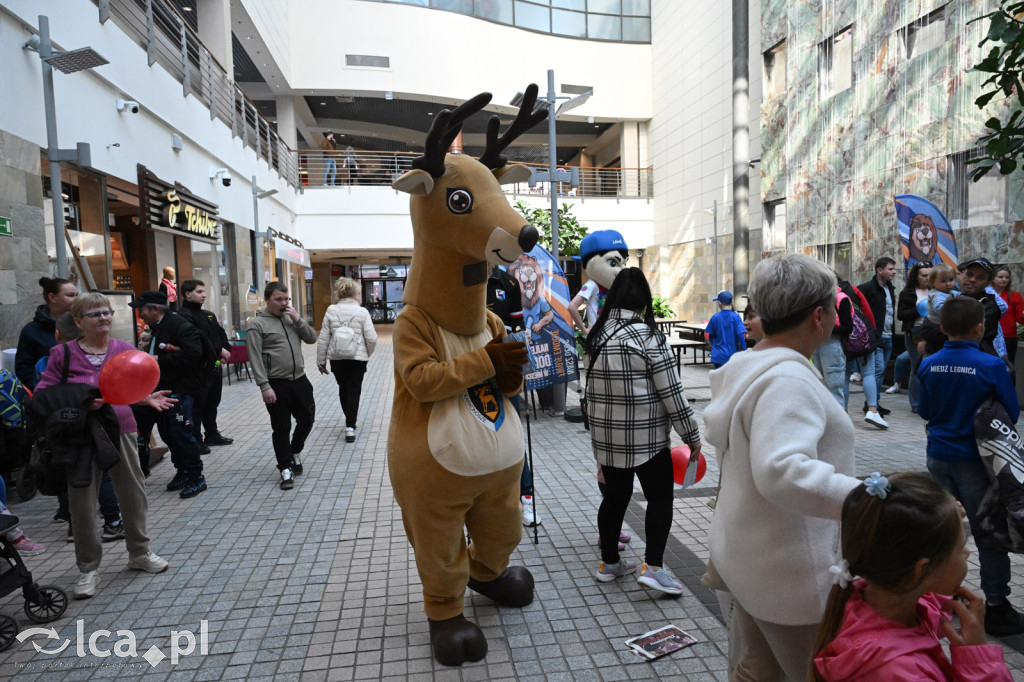 Premiera bajki „Mój przyjaciel Miedziak”