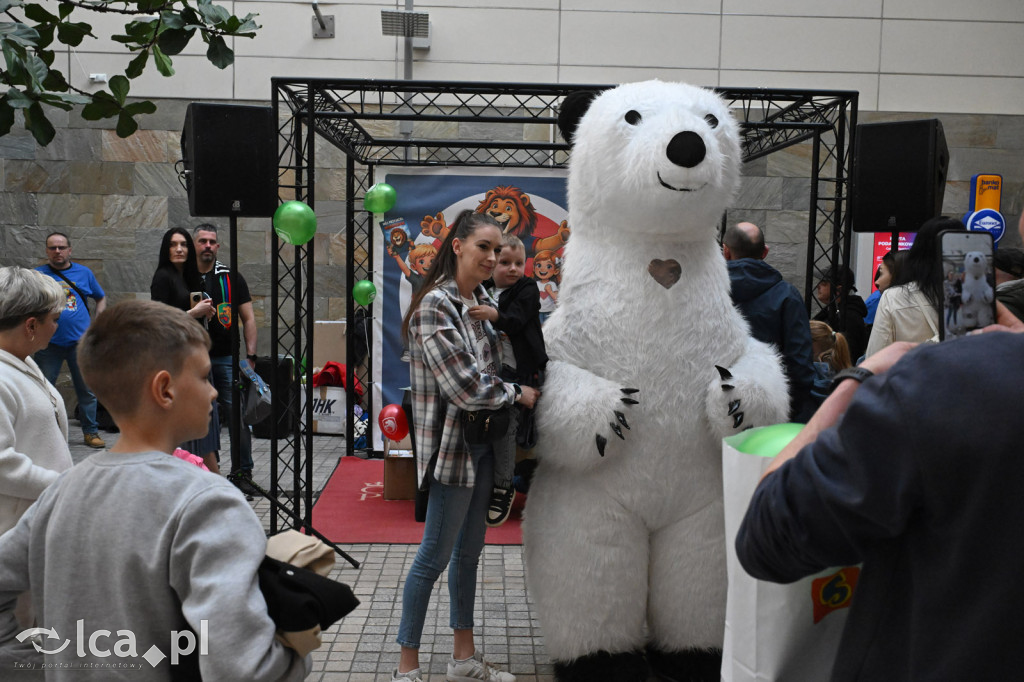 Premiera bajki „Mój przyjaciel Miedziak”
