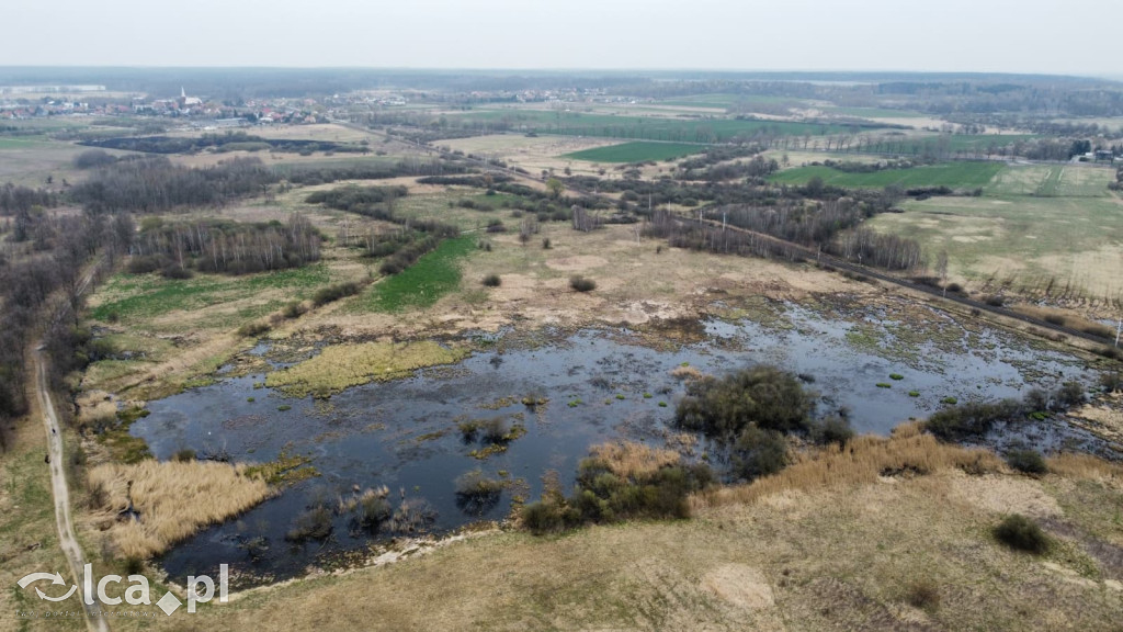 Ktoś niszczy tamę, ptaki zagrożone