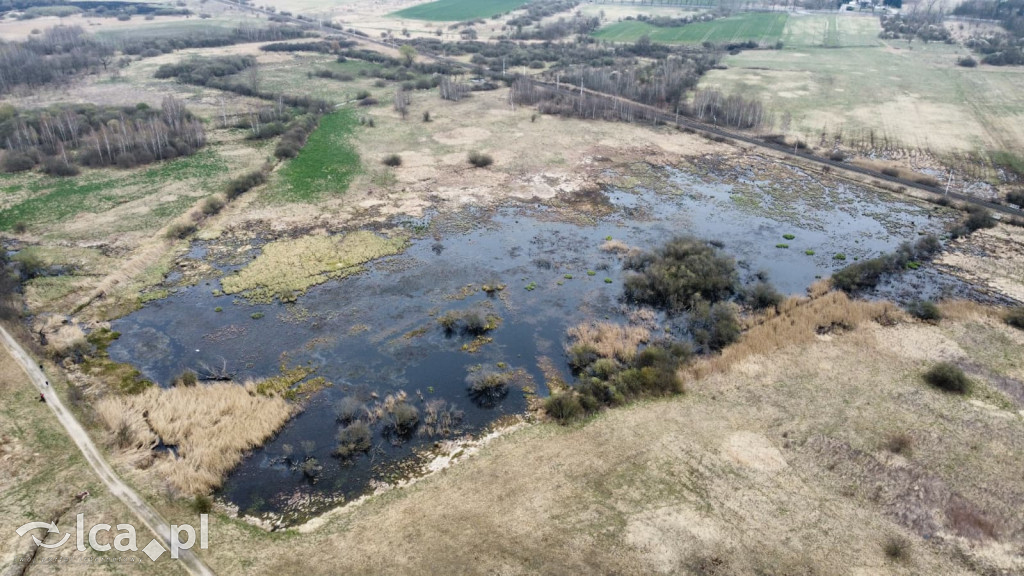 Ktoś niszczy tamę, ptaki zagrożone