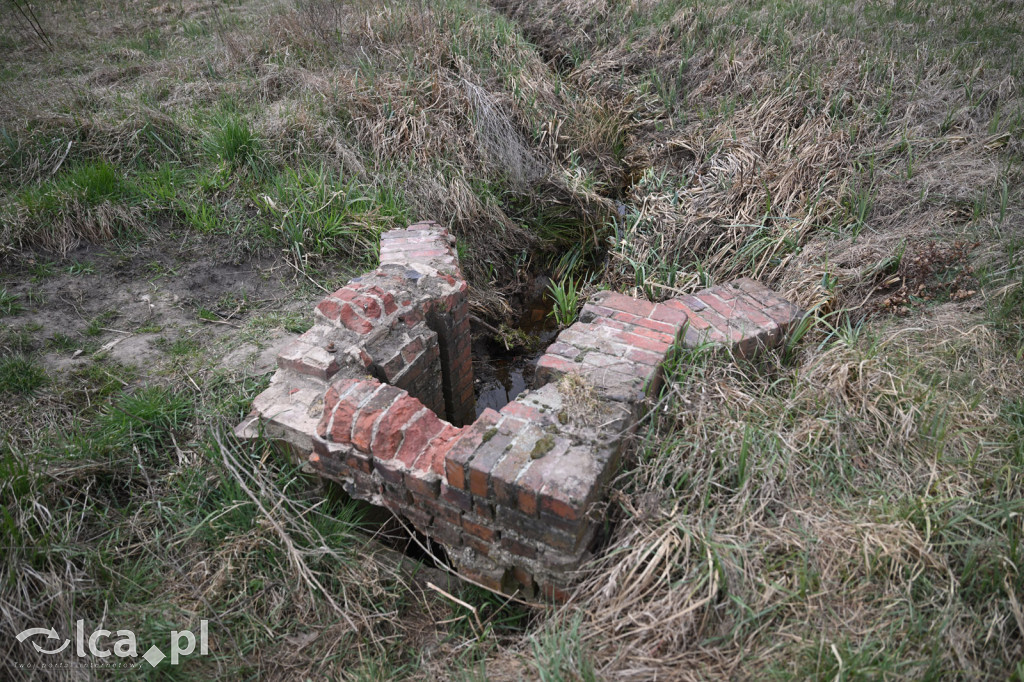 Ktoś niszczy tamę, ptaki zagrożone