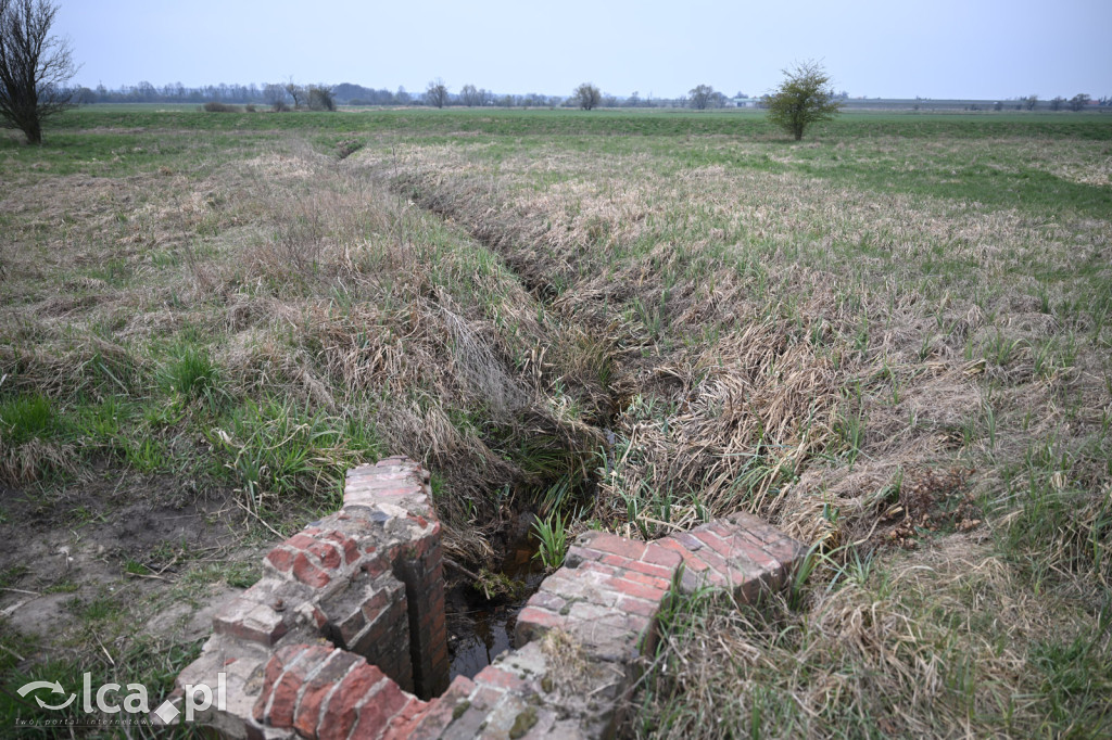 Ktoś niszczy tamę, ptaki zagrożone