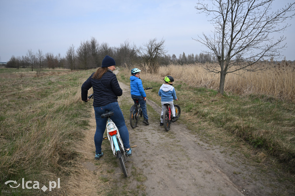 Ktoś niszczy tamę, ptaki zagrożone