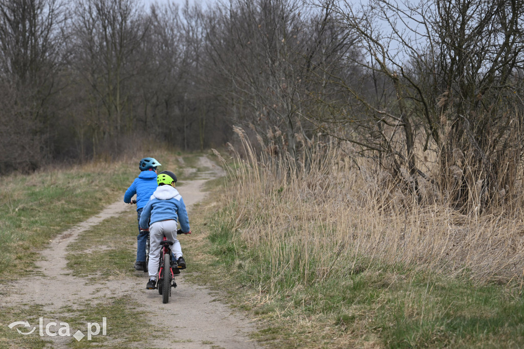 Ktoś niszczy tamę, ptaki zagrożone