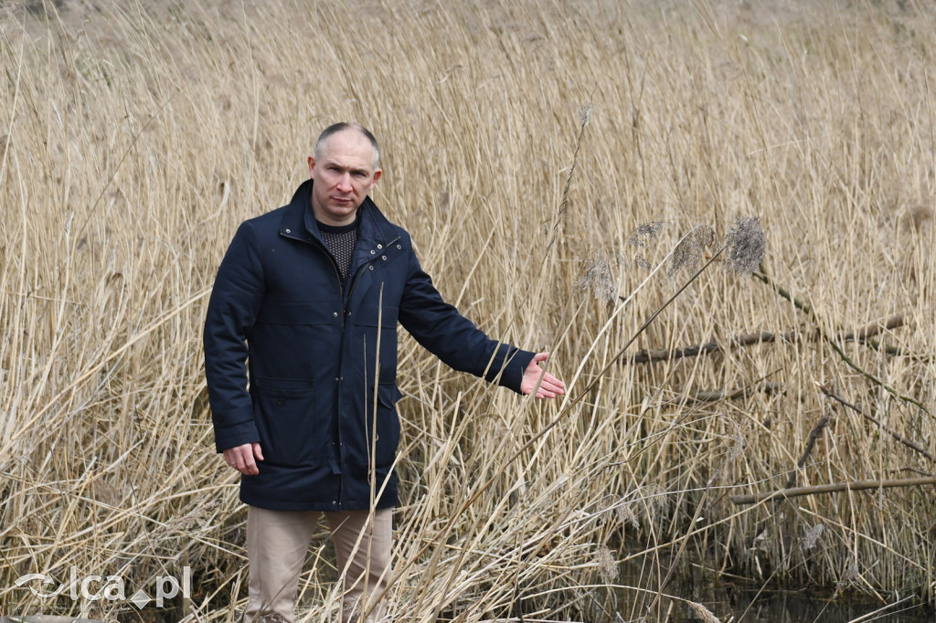 Ktoś niszczy tamę, ptaki zagrożone