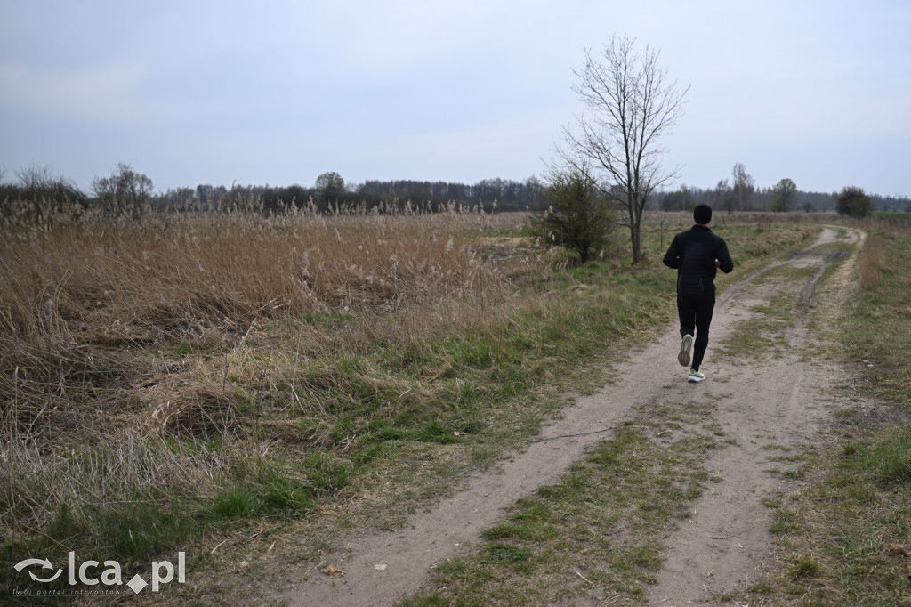 Ktoś niszczy tamę, ptaki zagrożone