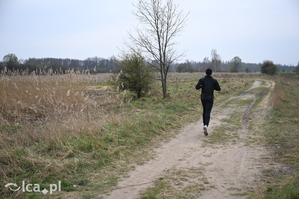 Ktoś niszczy tamę, ptaki zagrożone