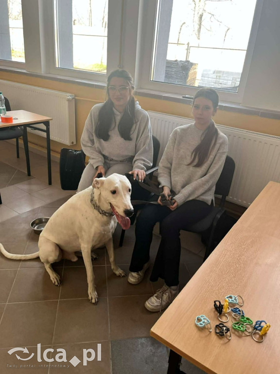 Tłumy na dniu otwartym „Budowlanki”