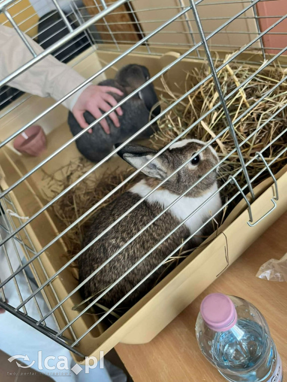 Tłumy na dniu otwartym „Budowlanki”