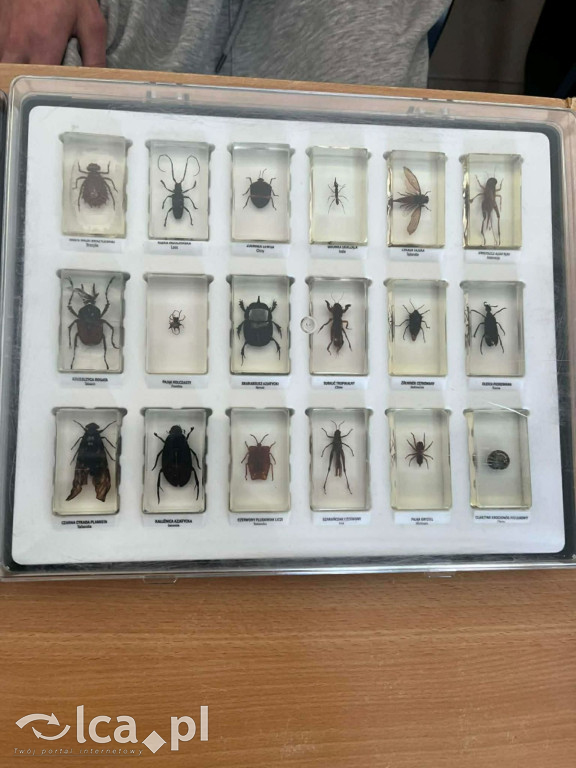 Tłumy na dniu otwartym „Budowlanki”