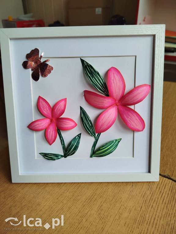 Tłumy na dniu otwartym „Budowlanki”