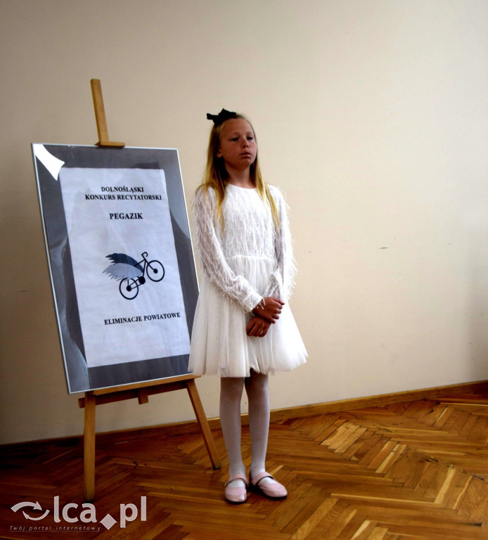 Pegazik rozstrzygnięty. Znamy laureatów