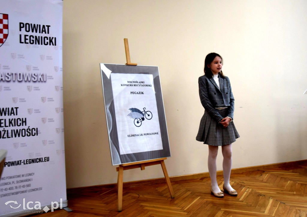 Pegazik rozstrzygnięty. Znamy laureatów